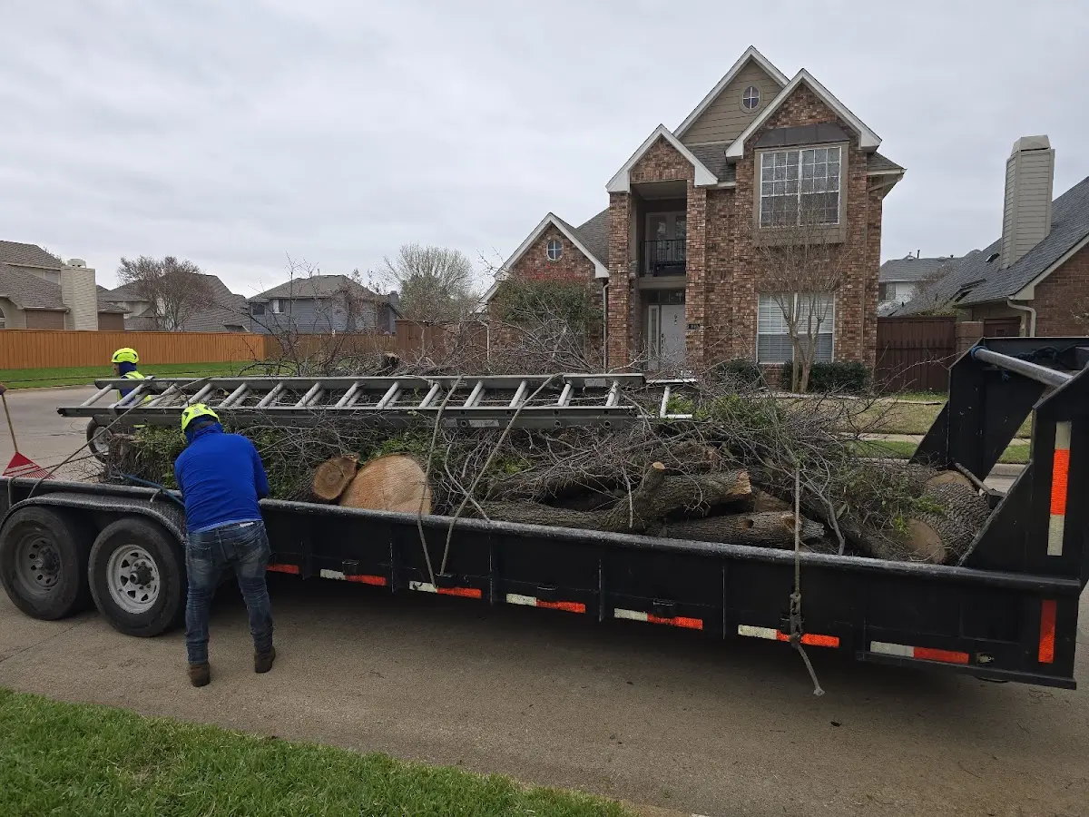 Expert Tree Fertilization with proper safety equipment in Minden